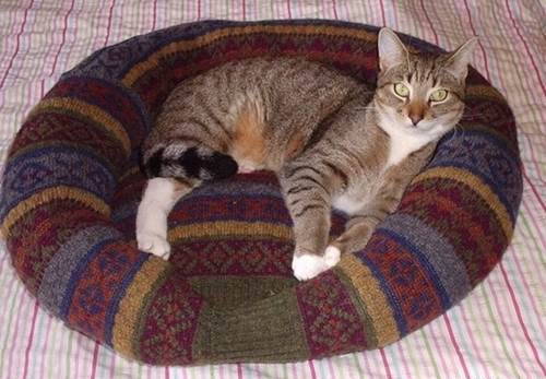 DIY Comfy Pet Bed from Old Sweater 10_1